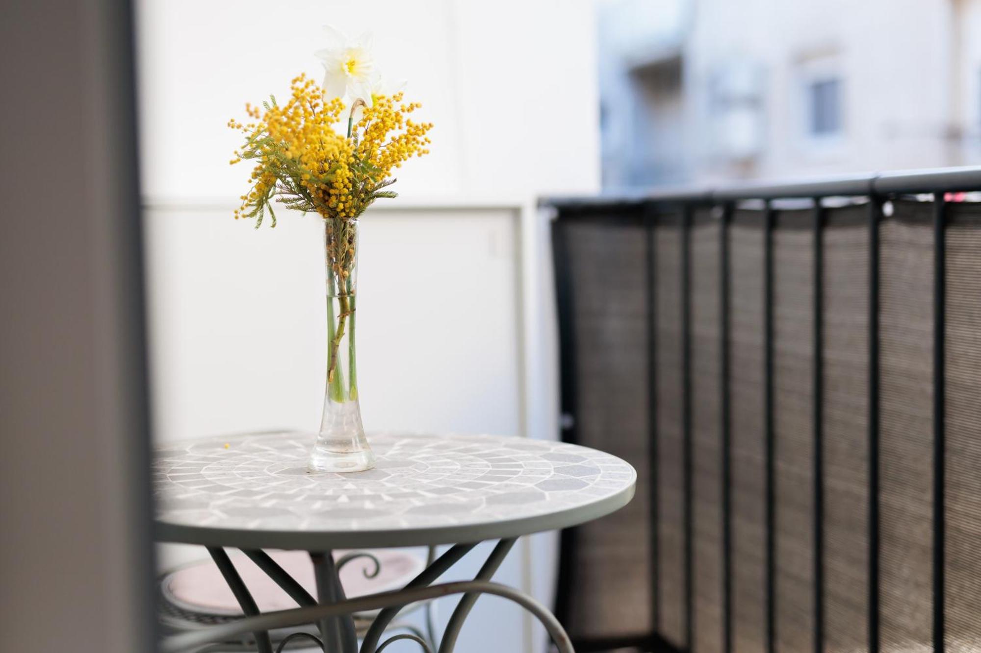 Zarina Apartment - Old Town Center 扎达尔 外观 照片